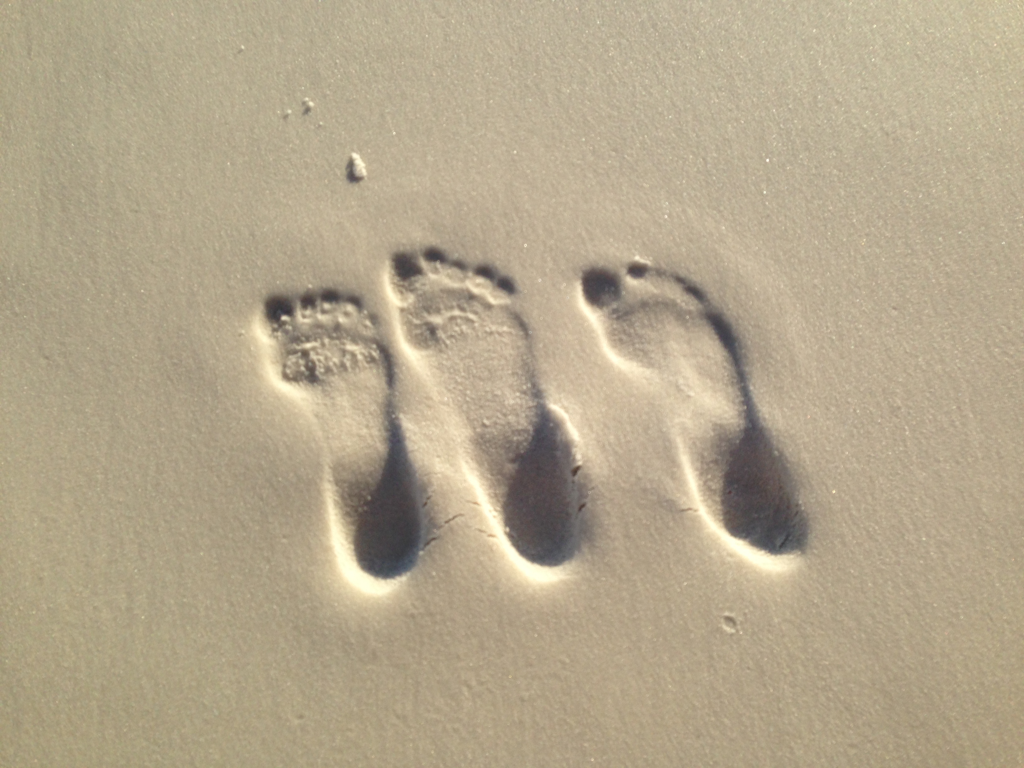 footprints-in-sand-10-16